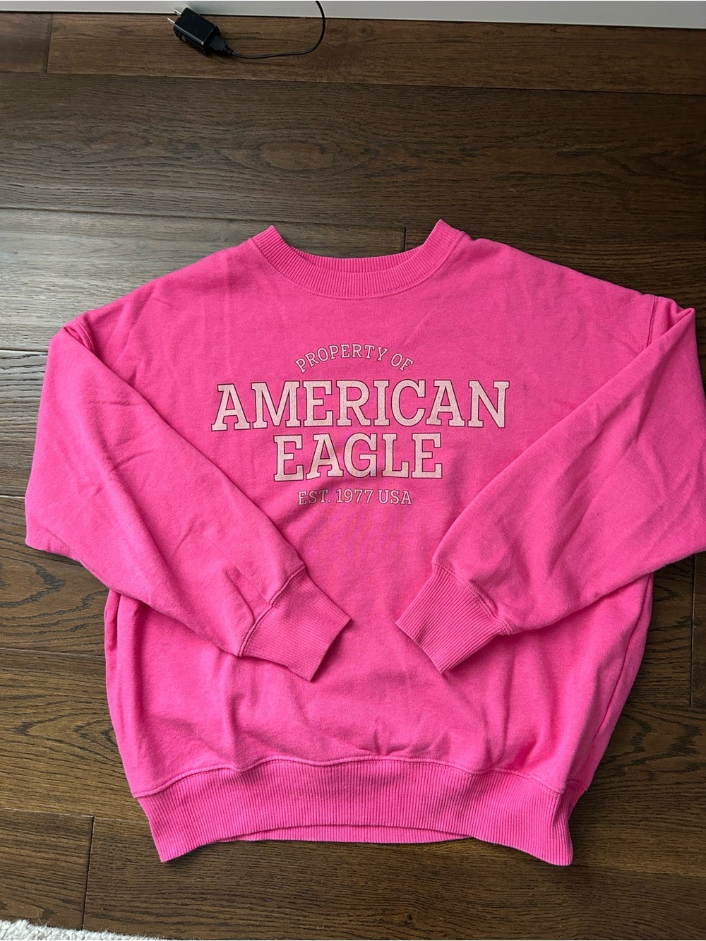 American Eagle Bright Pink Crewneck Sweatshirt